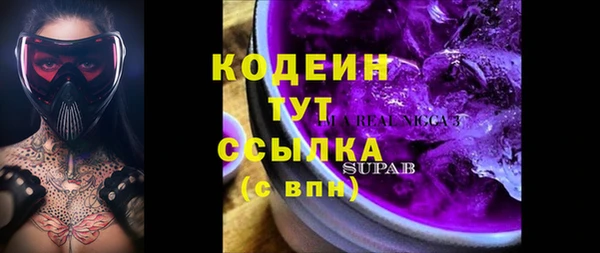 мдпв Гусь-Хрустальный