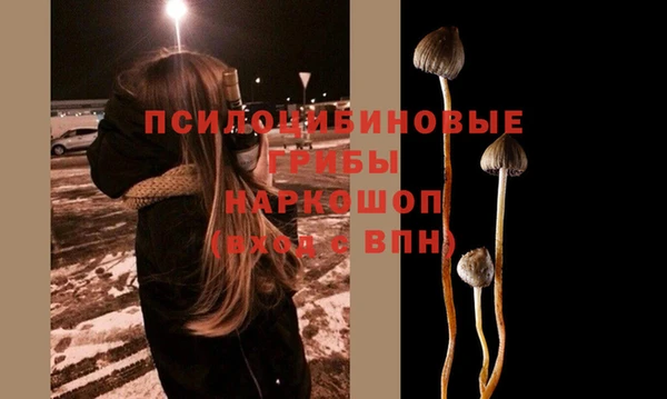 синтетический гашиш Горнозаводск