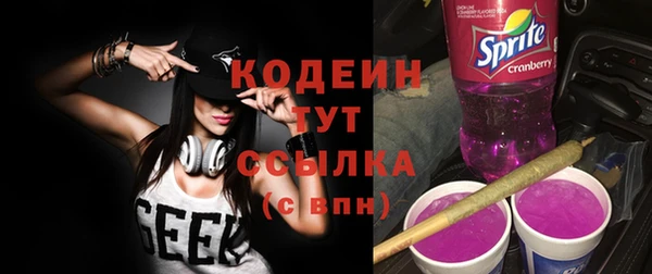 экстази Гусев