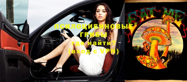 экстази Гусев