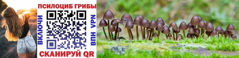 Купить где  Славянск-на-Кубани  Галлюциногенные грибы MAGIC MUSHROOMS 